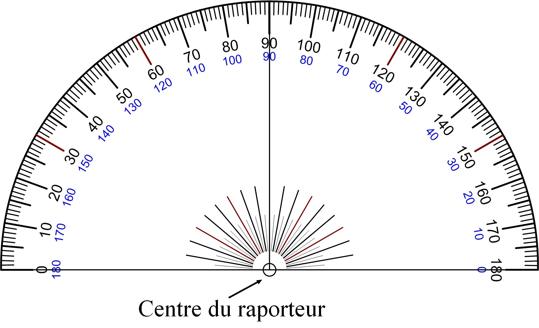 Utiliser un rapporteur pour mesurer un angle 