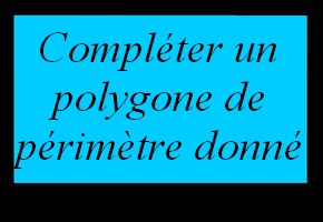 Compléter un polygone de périmètre donné