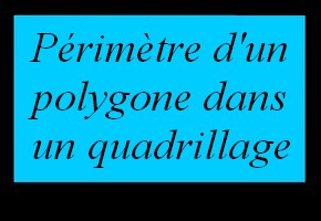 Périmètre d'une figure dans un quadrillage