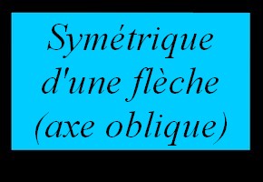 Construire le symétrique d'une flèche avec un quadrillage (axe oblique)